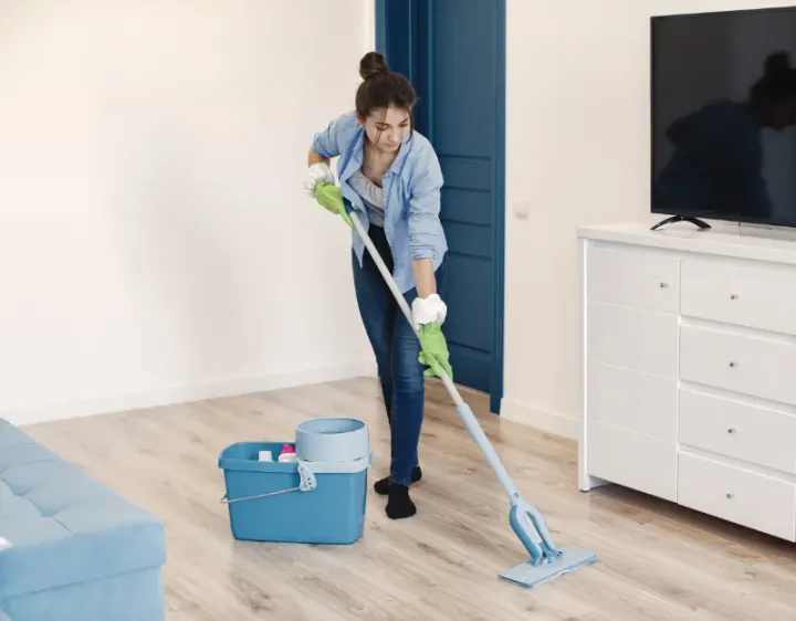 Femme de ménage Lavernay